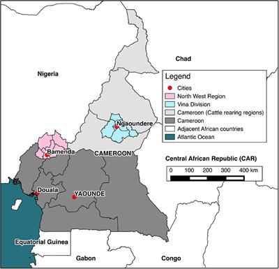 Bovine Tuberculosis Epidemiology in Cameroon, Central Africa, Based on the Interferon-Gamma Assay